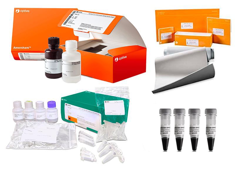 Soluciones para PCR y Western Blotting